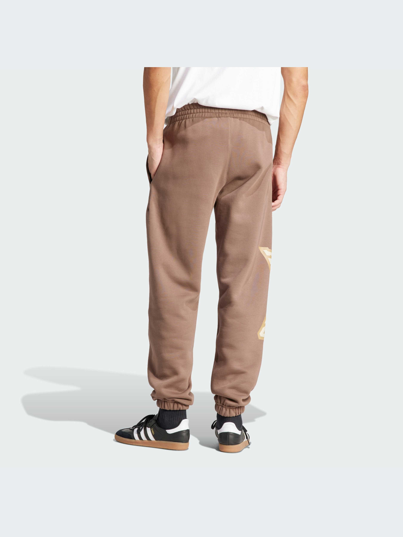 Спортивні штани Adidas Graphics модель IS0198 Фото