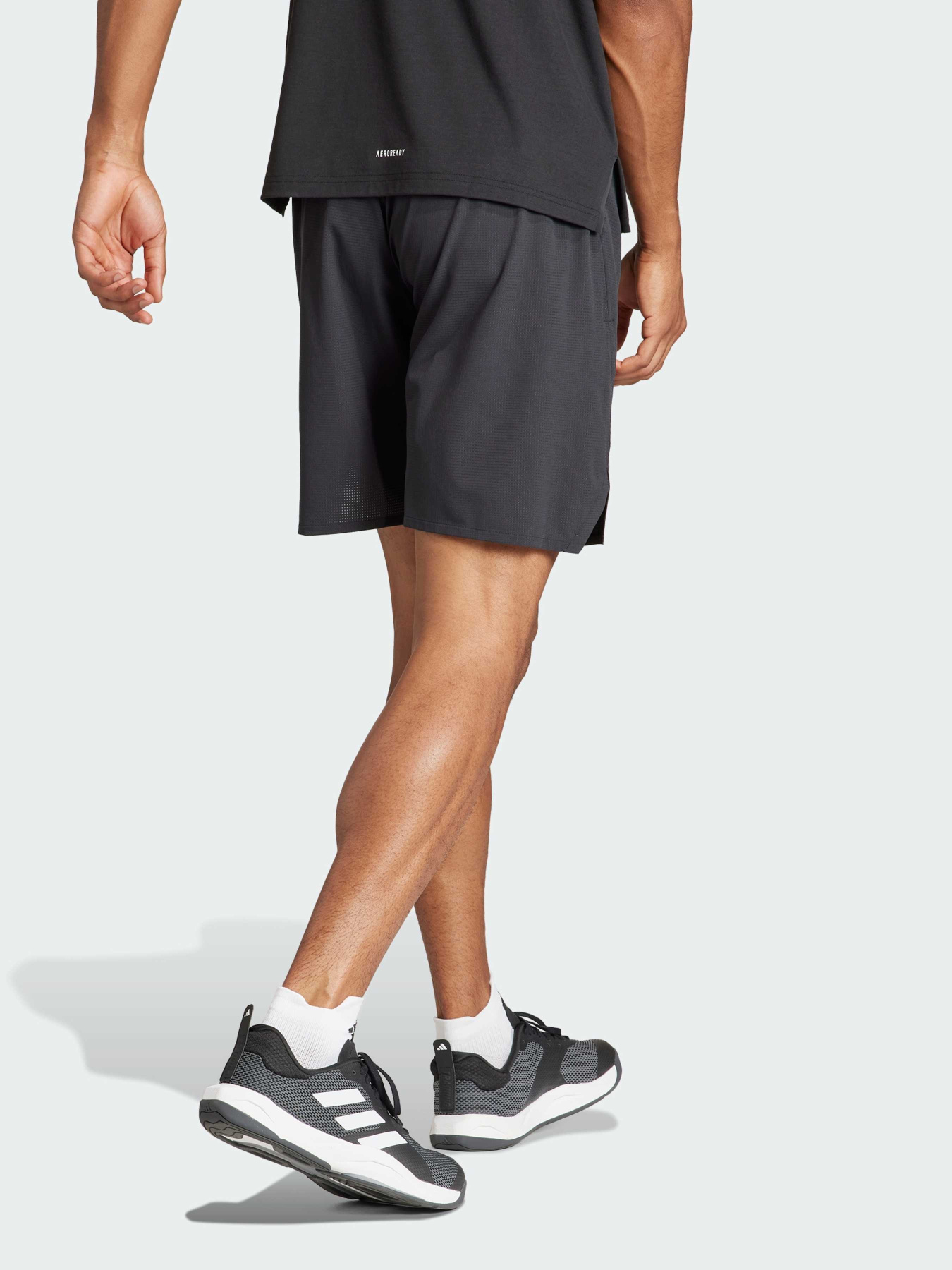 Спортивні шорти Adidas модель IS3732 Фото