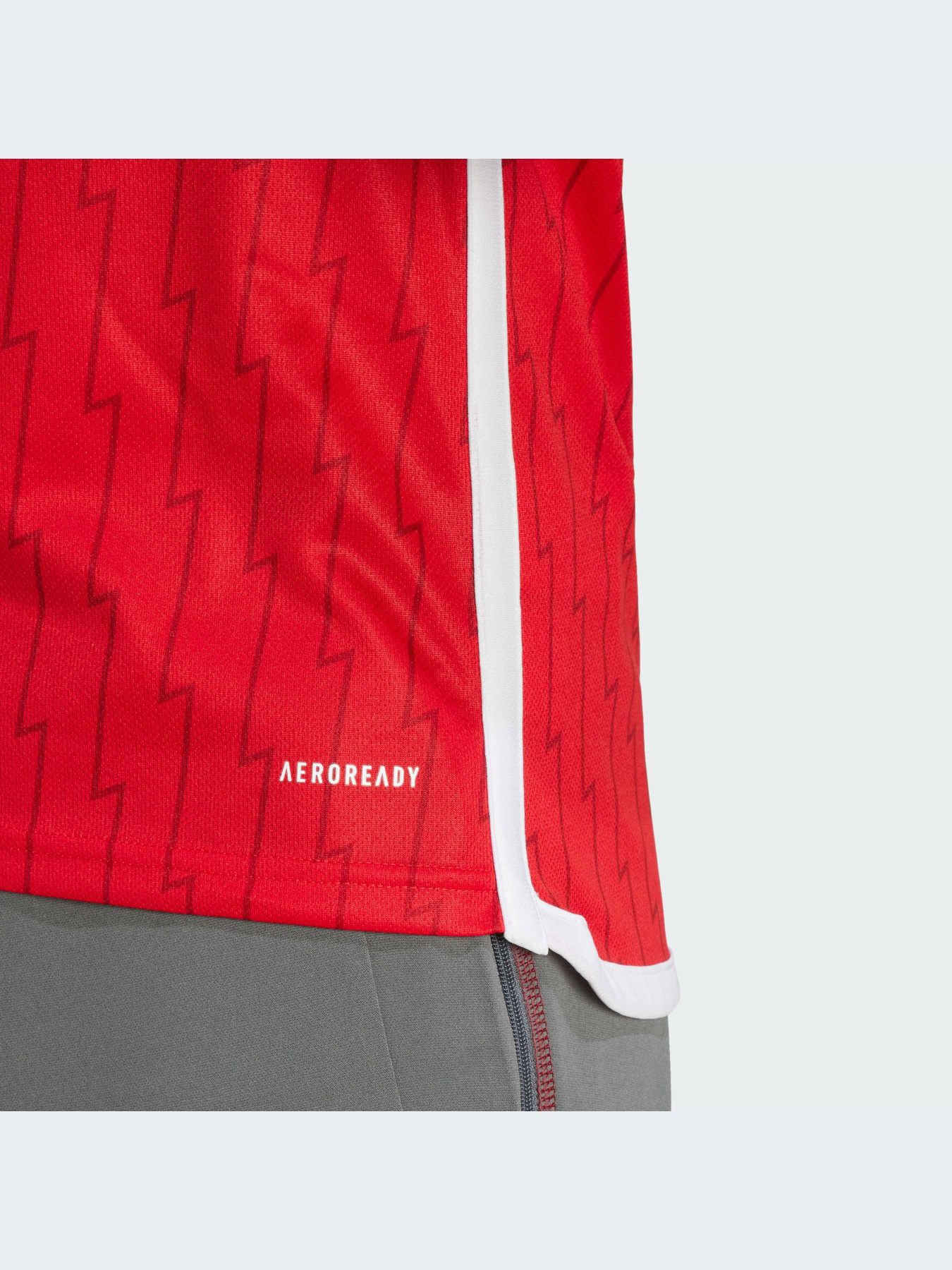 Спортивна футболка Adidas модель HR6929 Фото