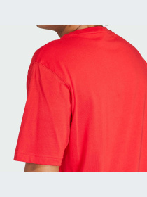 Футболка Adidas Adicolor модель IR8009 Фото