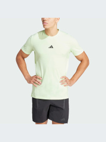 Футболка спортивная Adidas Clima модель IS3813 Фото