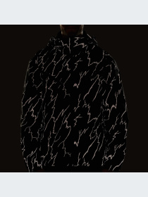 Ветровка Adidas модель IM9878 Фото