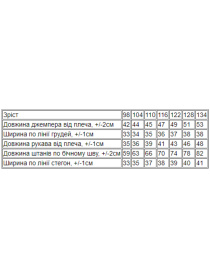 Спортивный костюм Носи своє модель 6018-057-33-7-polin-space Фото