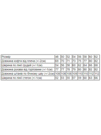 Спортивный костюм Носи своє модель 8361-025-temno-srij Фото