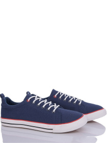 Кеды низкие Caroc модель LLXN03-4 Фото