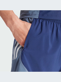 Спортивні шорти Adidas модель IK4995 Фото