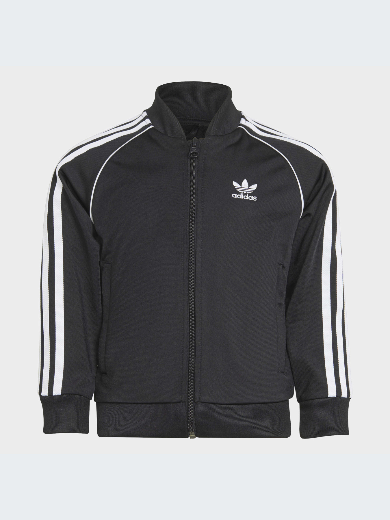 Спортивный костюм Adidas Adicolor модель H25260 Фото