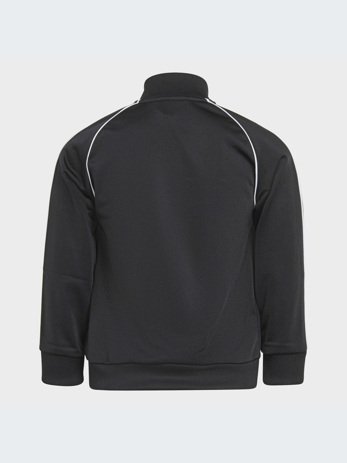 Спортивный костюм Adidas Adicolor модель H25260 Фото