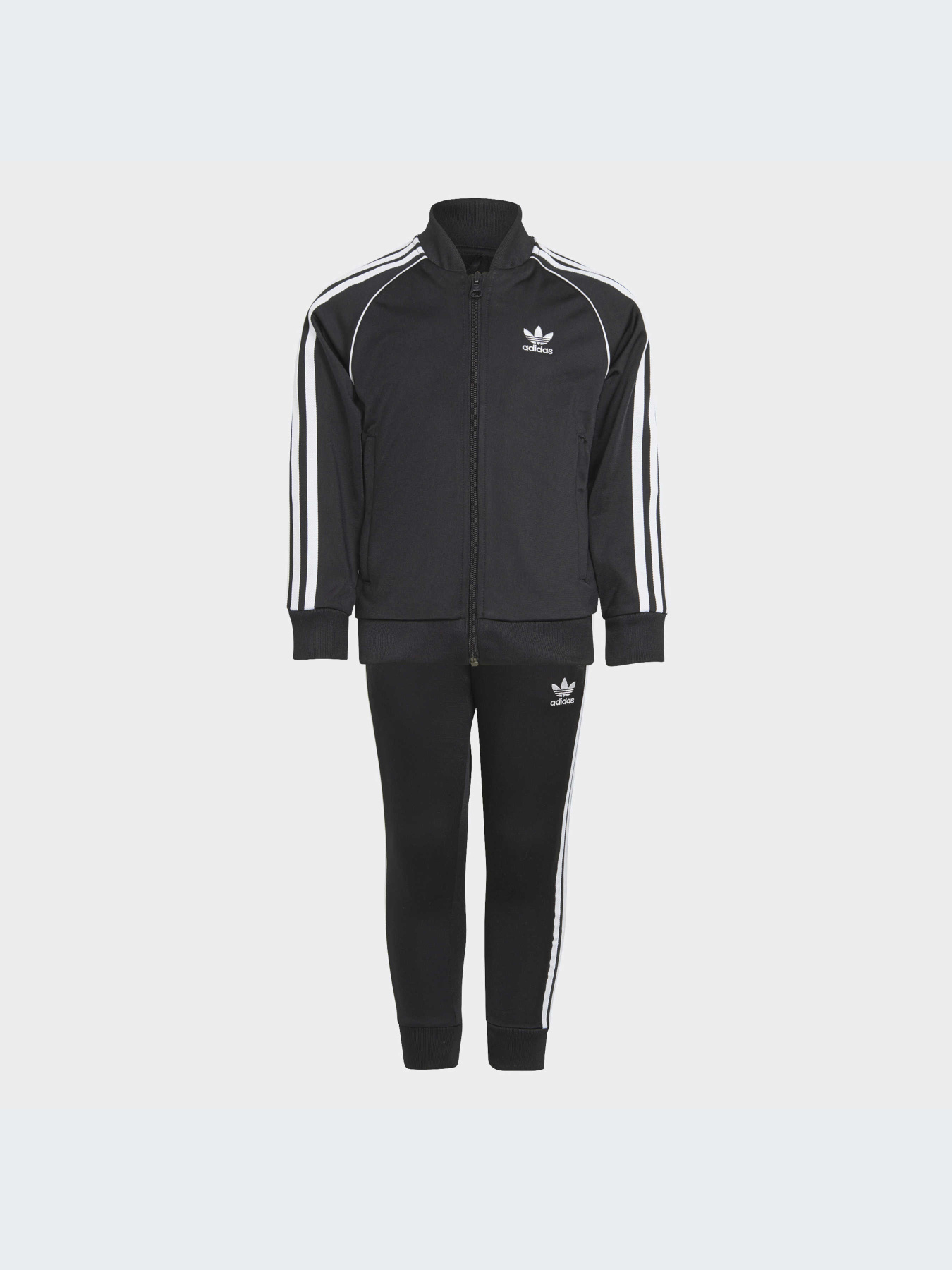 Спортивний костюм Adidas Adicolor модель H25260 Фото