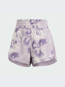 Шорты спортивные Adidas модель IQ2631 Фото