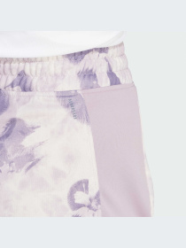 Шорты спортивные Adidas модель IQ2631 Фото