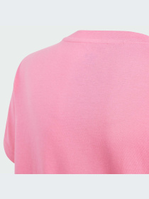 Футболка Adidas Adicolor модель IN8445 Фото