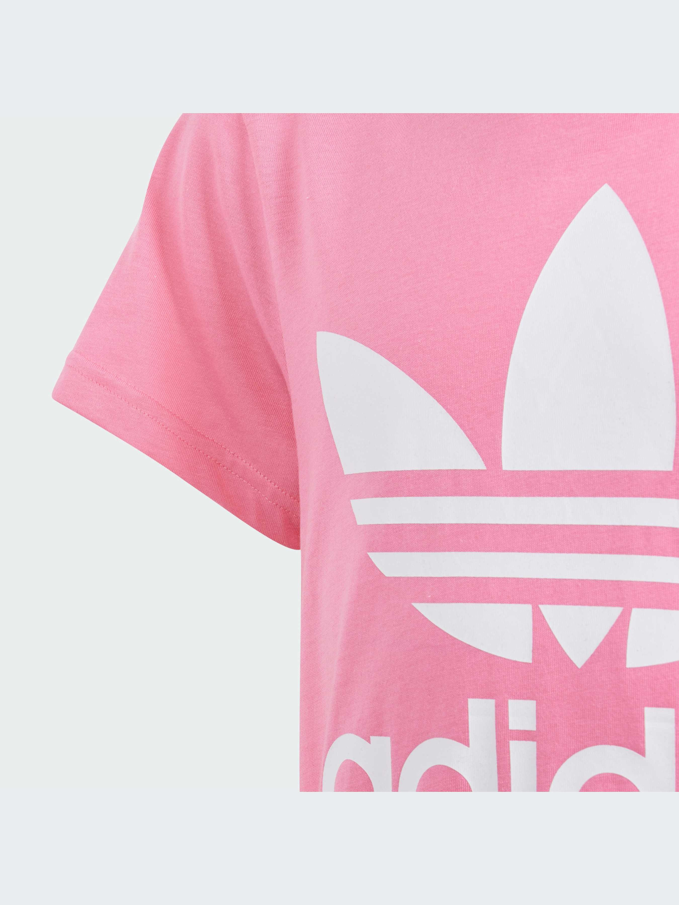 Футболка Adidas Adicolor модель IN8445 Фото