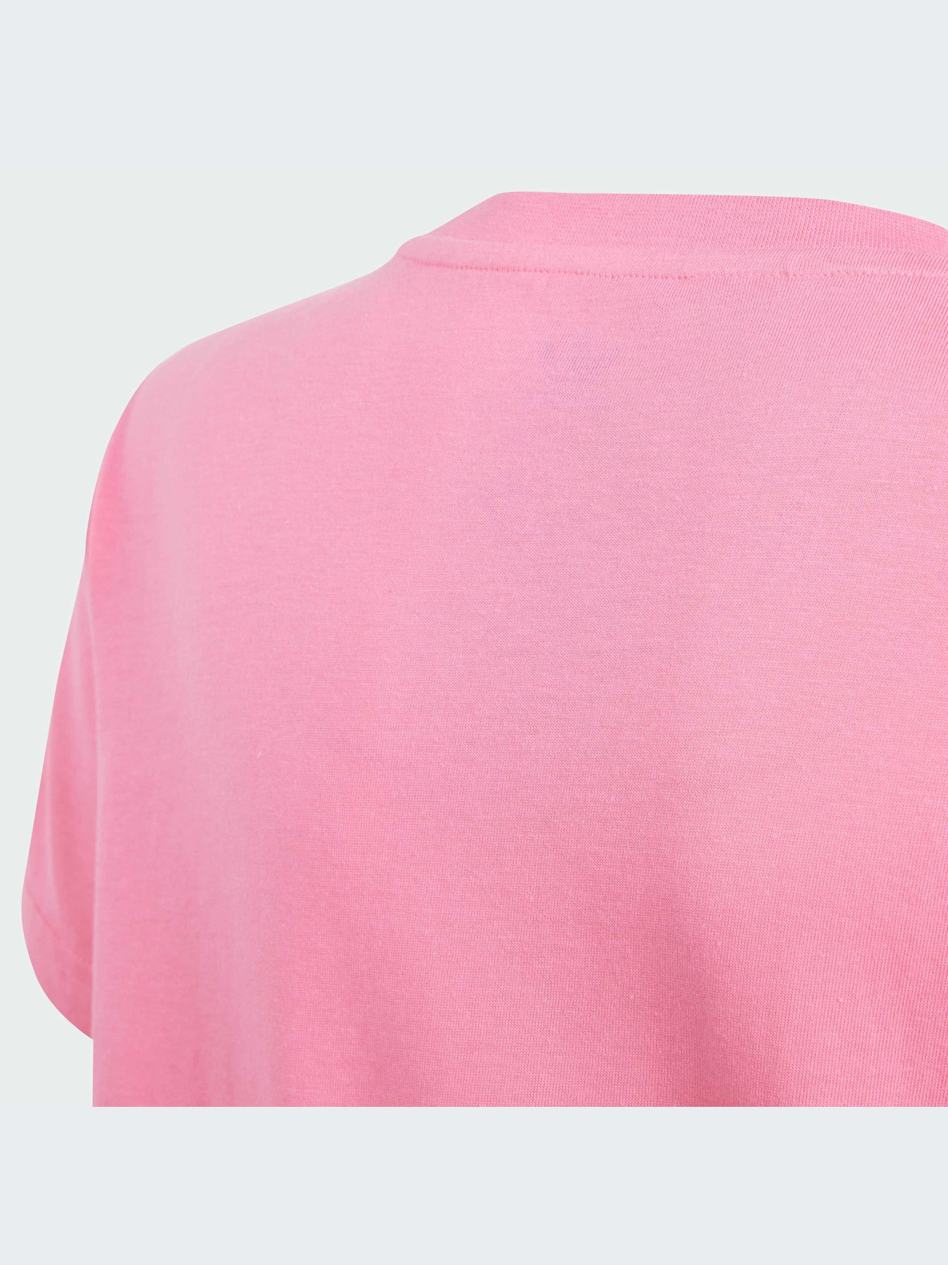 Футболка Adidas Adicolor модель IN8445 Фото