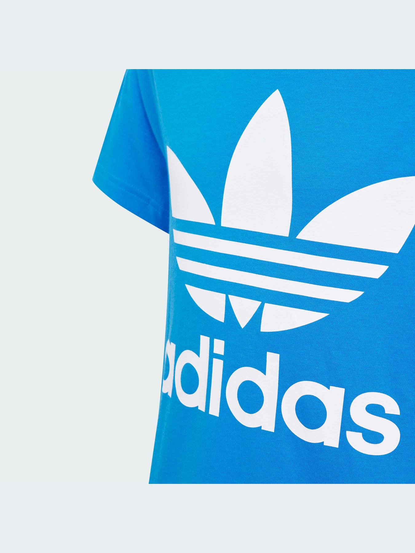 Футболка Adidas Adicolor модель IN8448 Фото