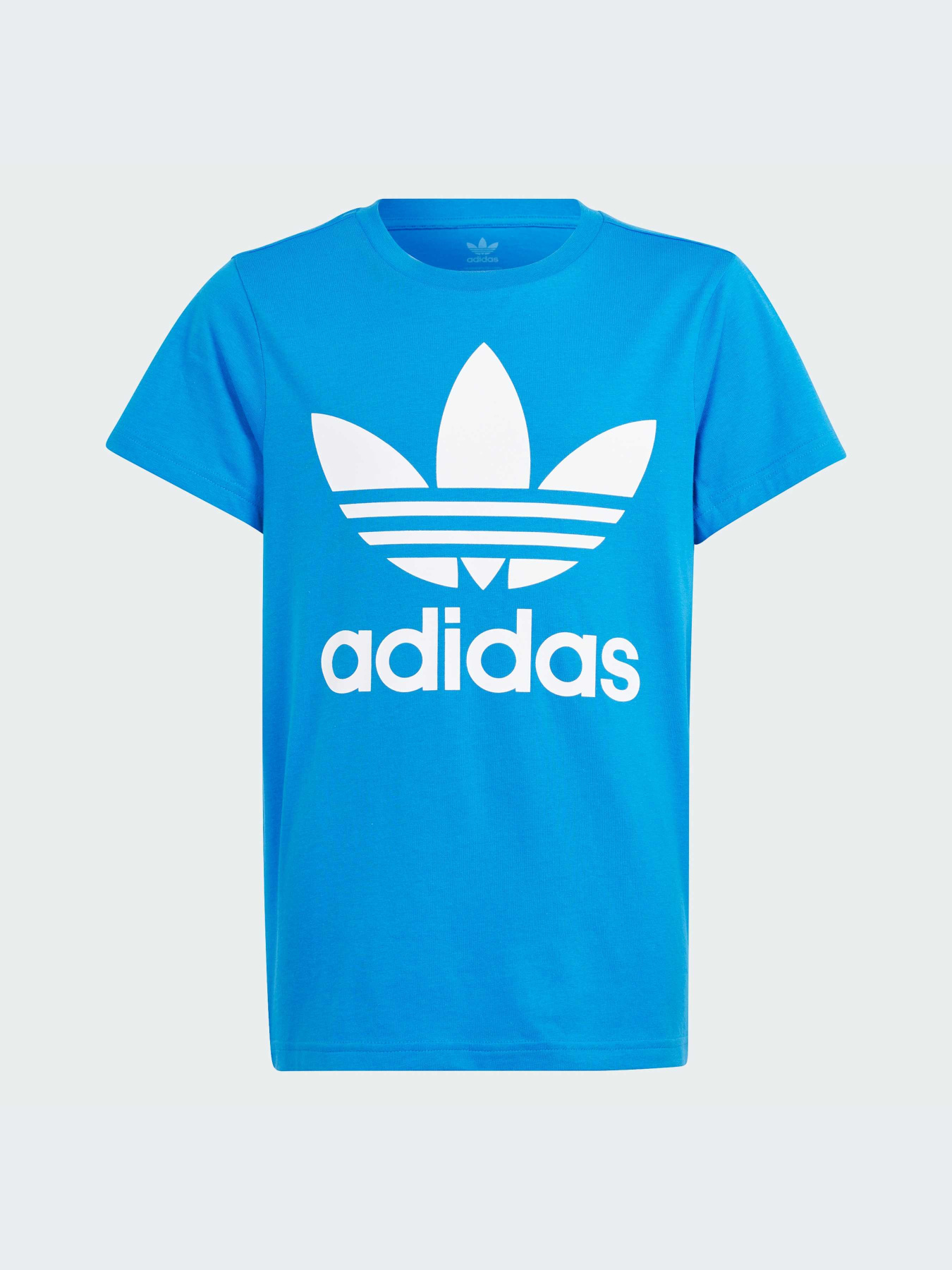 Футболка Adidas Adicolor модель IN8448 Фото