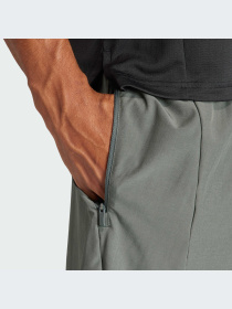 Шорты спортивные Adidas Clima модель IS2263 Фото