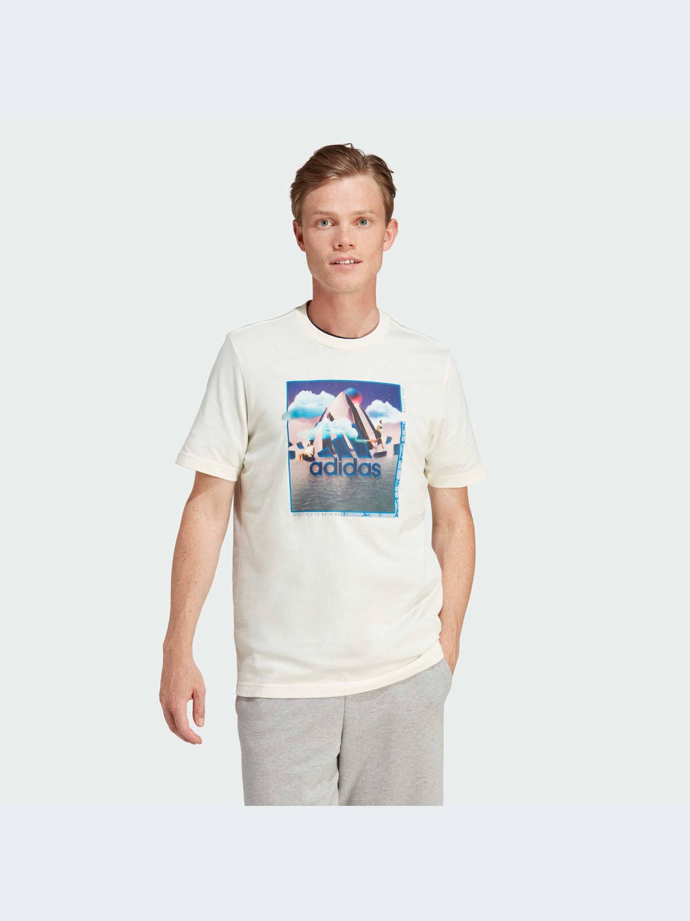 Футболка Adidas Graphics модель IM8318 Фото