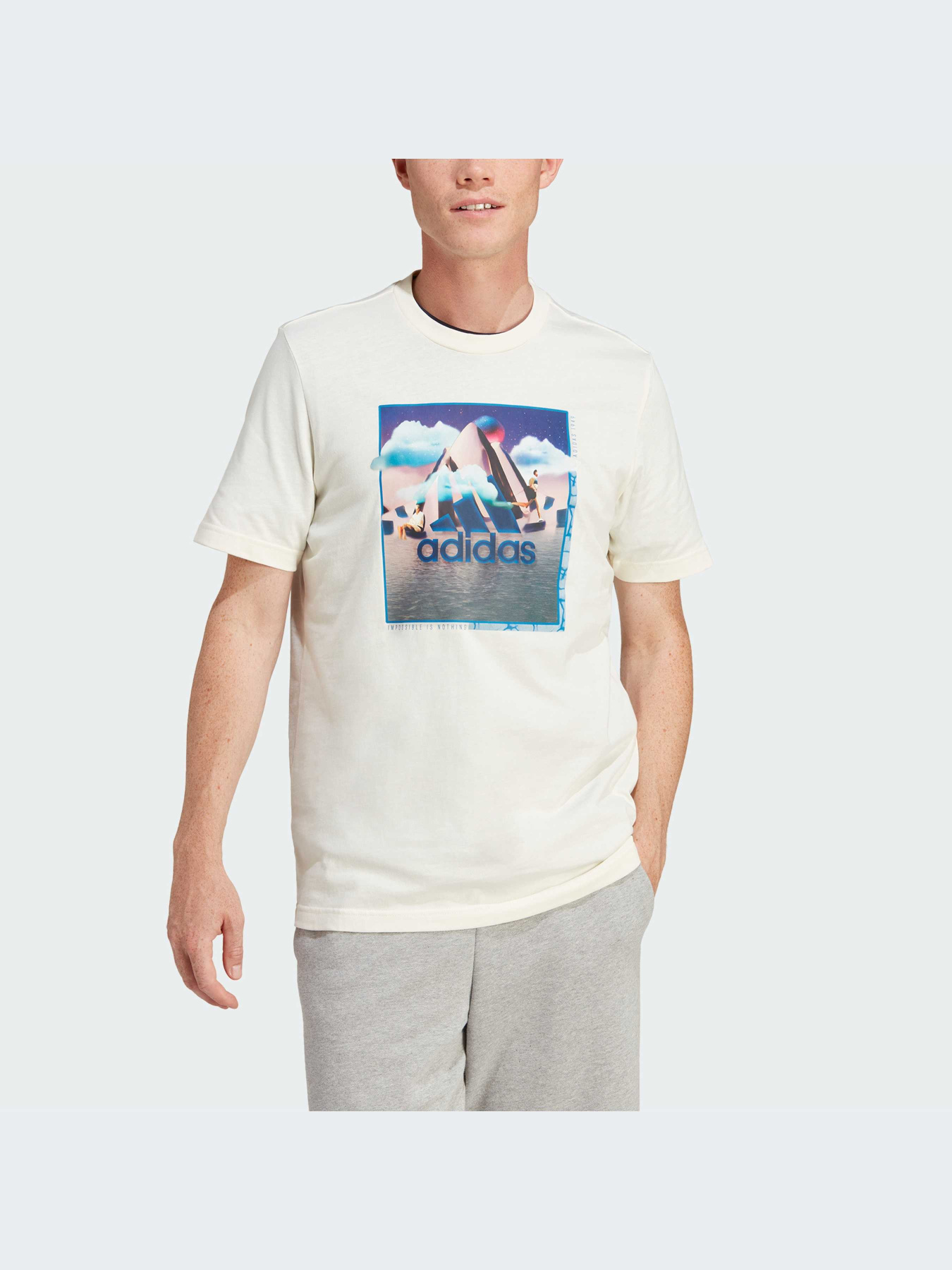 Футболка Adidas Graphics модель IM8318 Фото