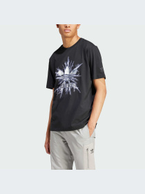 Футболка Adidas Graphics модель IR9440 Фото