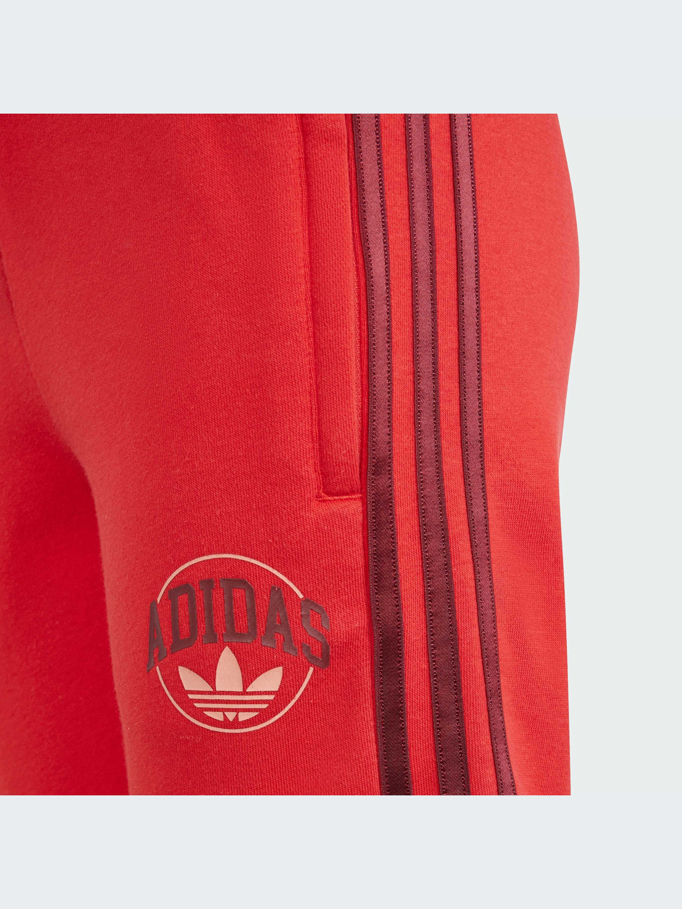 Шорти Adidas Graphics модель IN0619 Фото