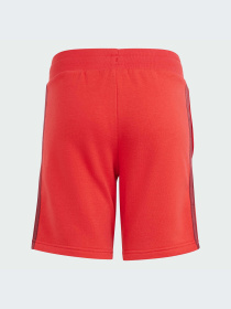 Шорти Adidas Graphics модель IN0619 Фото