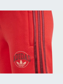 Шорти Adidas Graphics модель IN0619 Фото