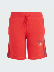 Шорти Adidas Graphics модель IN0619 Фото