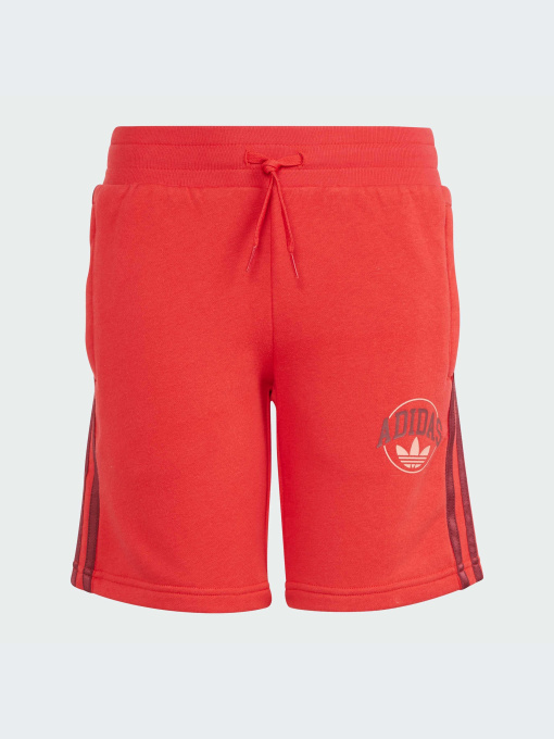 Шорты Adidas Graphics модель IN0619 Фото