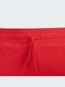 Повсякденні шорти Adidas Graphics модель IN0619 Фото