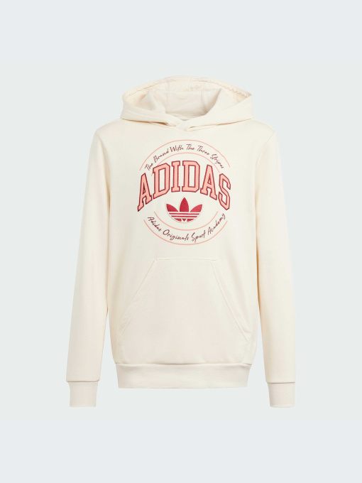 Худи Adidas Graphics модель IN0623 Фото