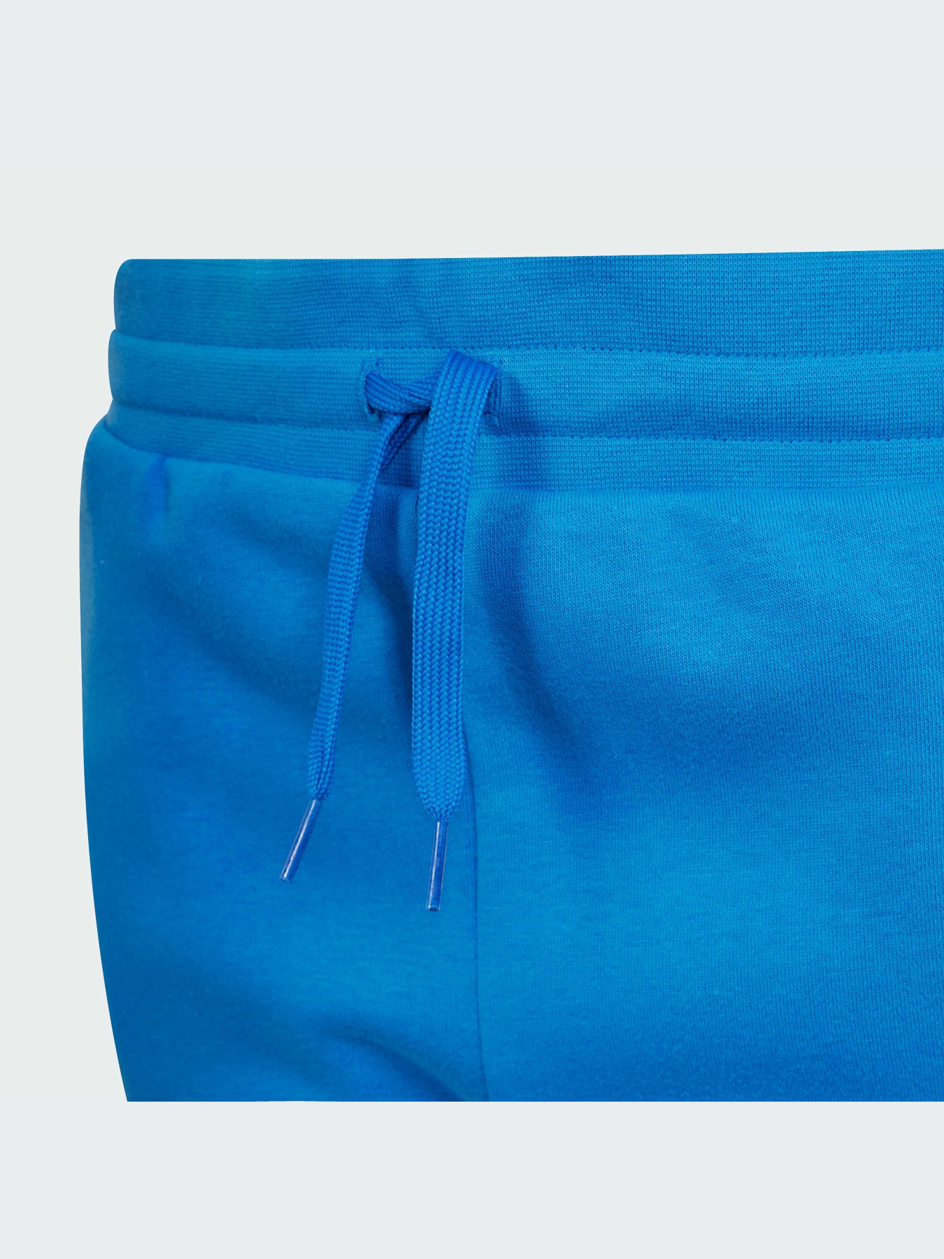 Штаны спортивные Adidas Adicolor модель IM9676 Фото