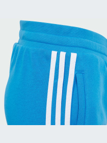 Штаны спортивные Adidas Adicolor модель IM9676 Фото