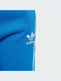 Штаны спортивные Adidas Adicolor модель IM9676 Фото