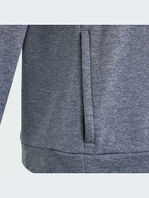 Кофта спортивная Adidas модель IS1675 Фото