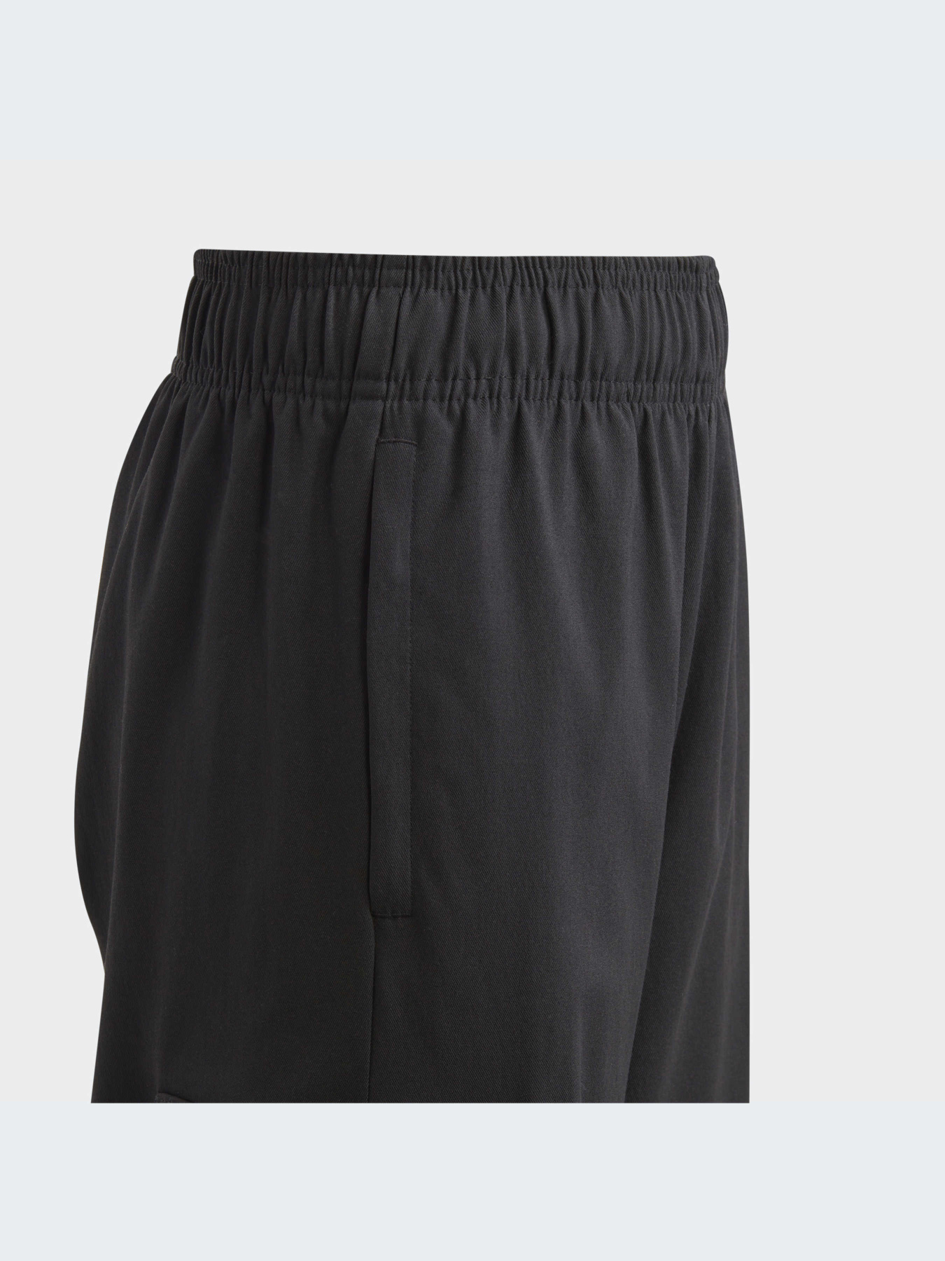 Карго Adidas Adicolor модель IL1846 Карго Adidas Adicolor модель IL1846 Фото