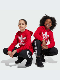 Карго Adidas Adicolor модель IL1846 Карго Adidas Adicolor модель IL1846 Фото