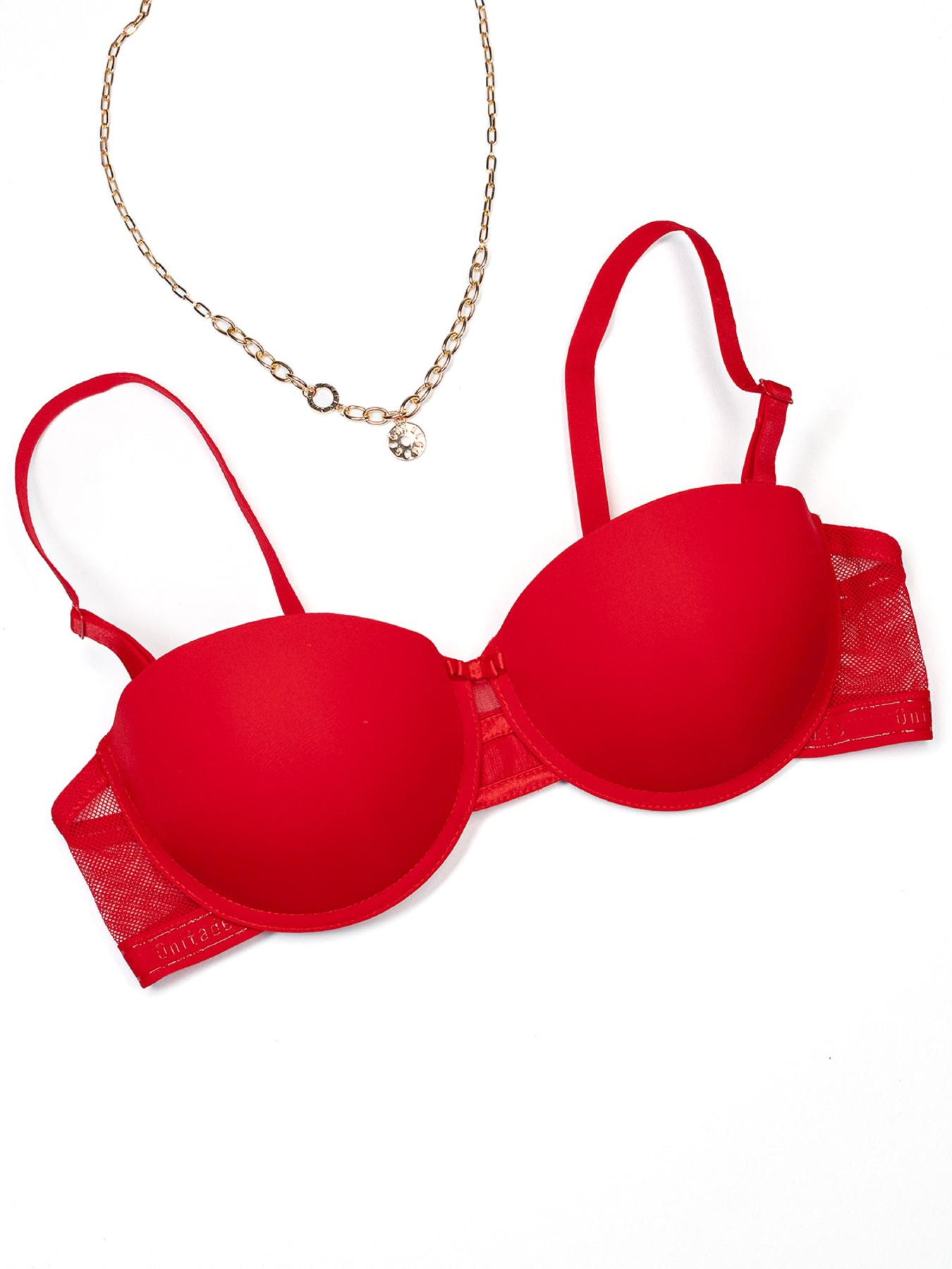 Бюстгальтер ISSA Plus модель BL3-54_красный Фото