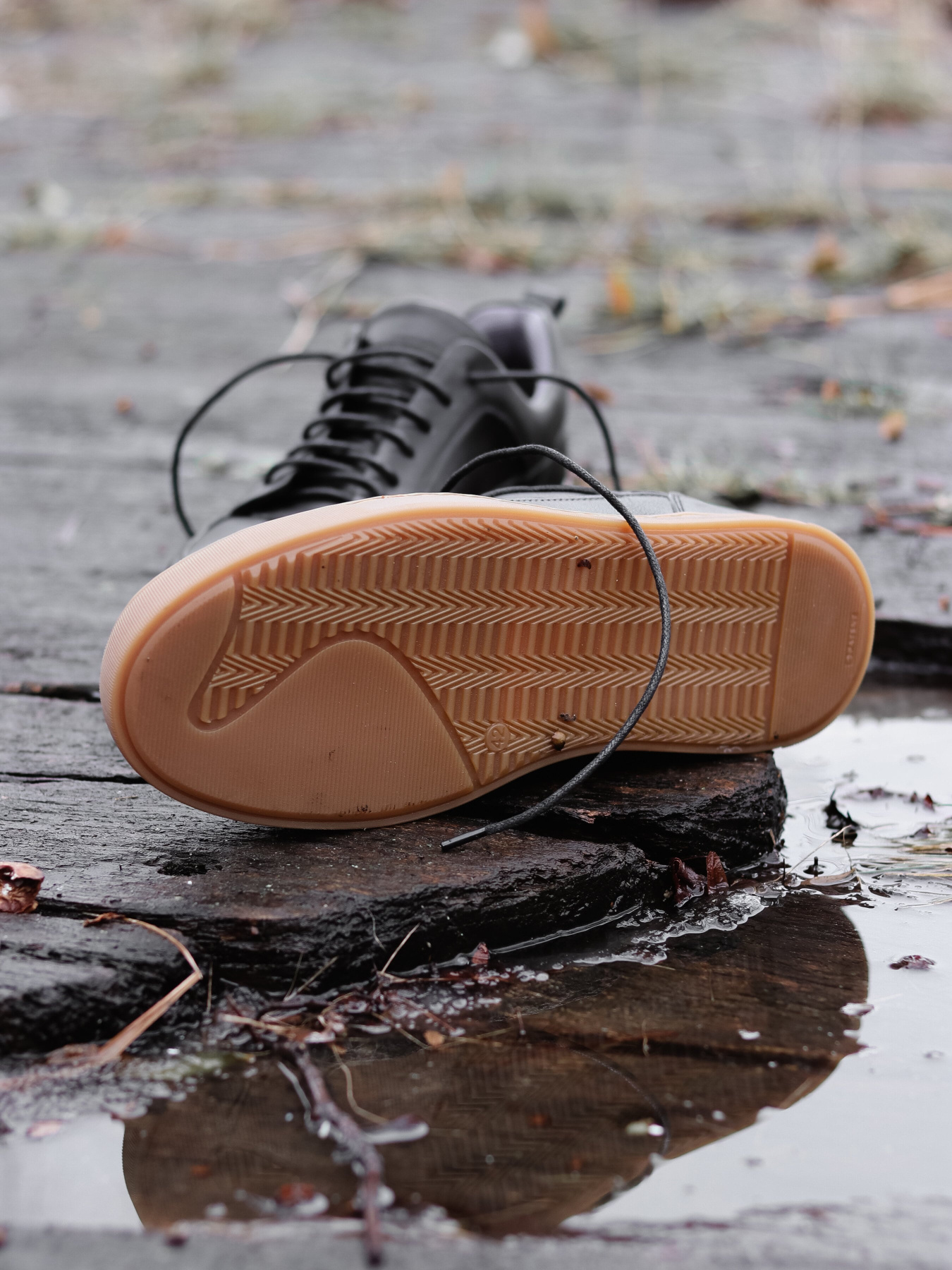 Кеди низькі Legessy Модель LEEDS Фото