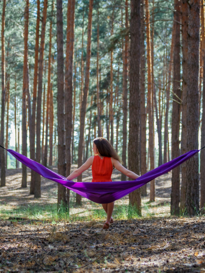 Спорядження для туризму Levitate гамак модель AIR violet — фото - INTERTOP