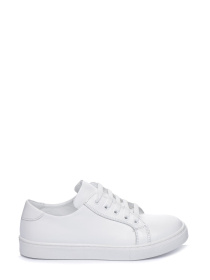 Кеды низкие Theo Leo модель 1453 Фото