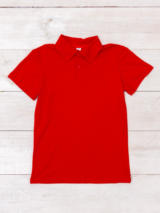 Поло Носи своє модель 6210-091-chervonij Фото