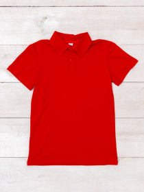Поло Носи своє модель 6210-091-chervonij Фото