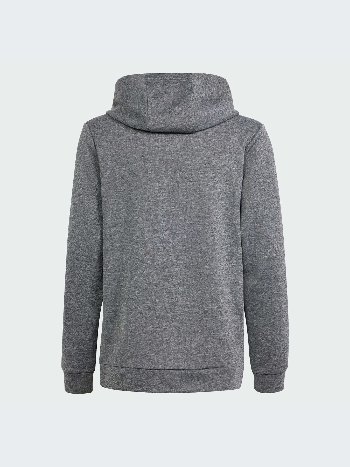 Спортивная кофта Adidas модель IS1674 Фото