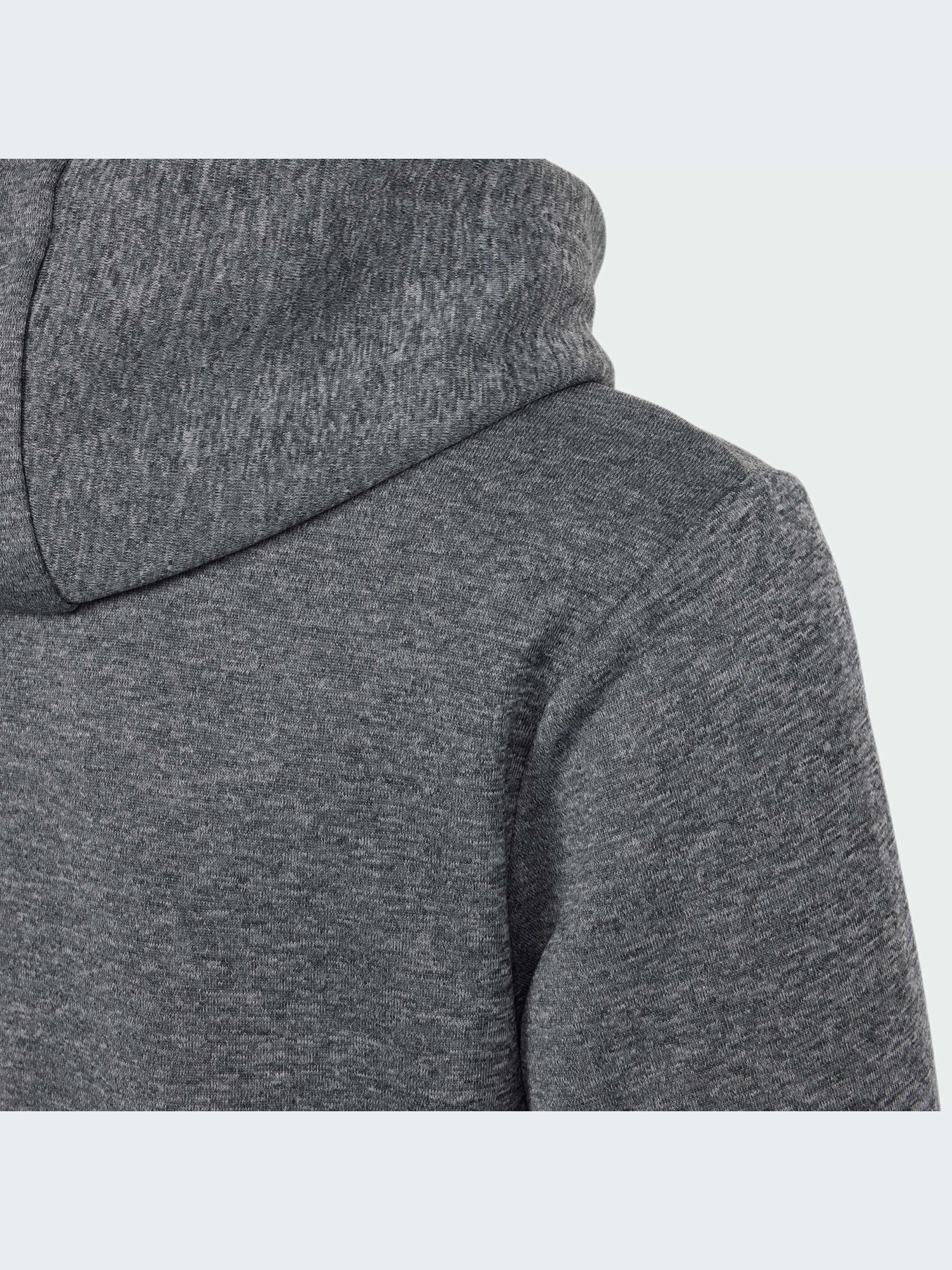 Спортивная кофта Adidas модель IS1674 Фото