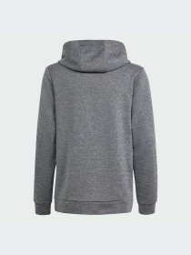 Спортивная кофта Adidas модель IS1674 Фото