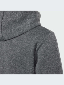 Спортивная кофта Adidas модель IS1674 Фото