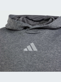 Спортивная кофта Adidas модель IS1674 Фото