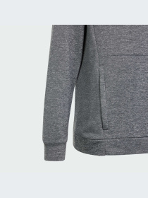 Спортивная кофта Adidas модель IS1674 Фото