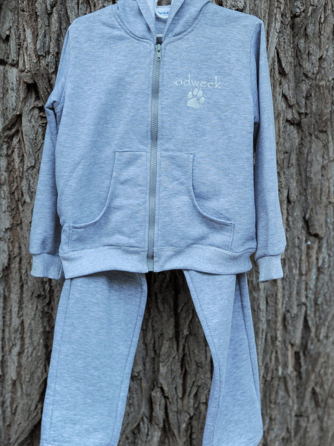 Спортивний костюм ODWEEK модель 260104 Фото